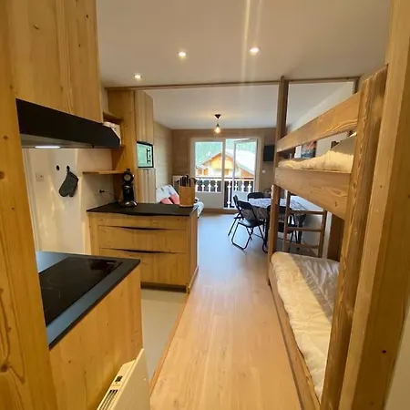 Veronica 53, T2 Avec Coin Montagne - Multipass Inclu Apartment Chatel